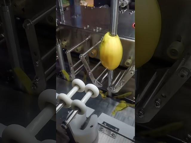 16 cutter heads, potato peeler, automatic production line