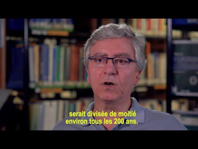 Quelle est la différence entre un taux de natalité et un indice de fécondité ?