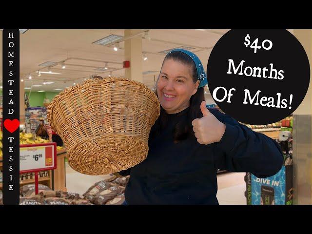 $40 Bought Us 3 Months of Meat ~Meat Budget Video!