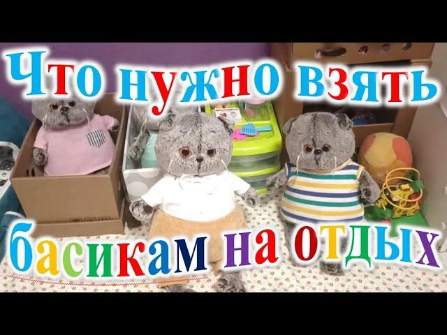 Что нужно взять басикам на отдых.