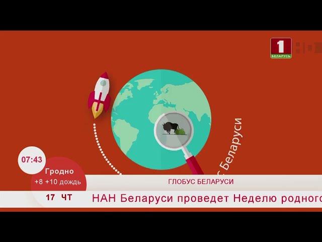 Добрай раніцы, Беларусь.Дворец Друцких-Любецких.