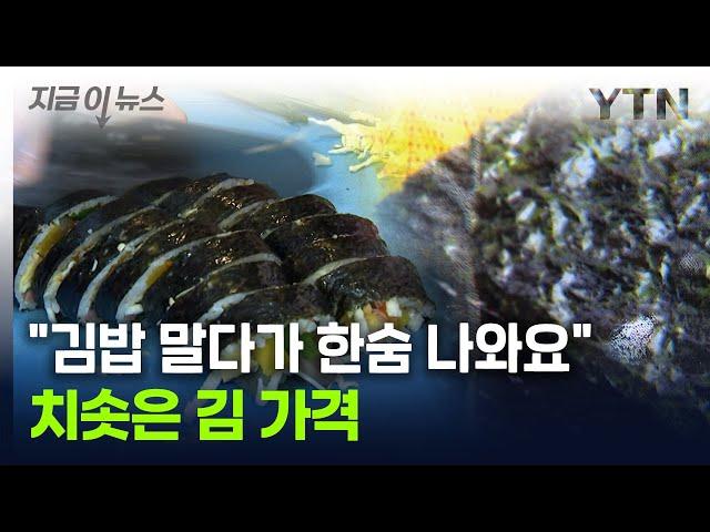 [굿모닝경제] "김밥 말기도 부담된다"...천정부지 오른 가격에 '한숨' / YTN