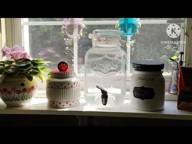 MY ORGANIZED LAUNDRY ROOM TOUR ️UGLY PETUNIAS TO PRETTY BASKETS ️ WHAT'S FOR BRUNCH?