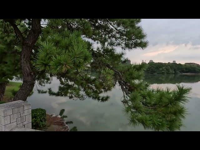 Walk Through a Lake at Ohori Park [4K] - Fukuoka, JP