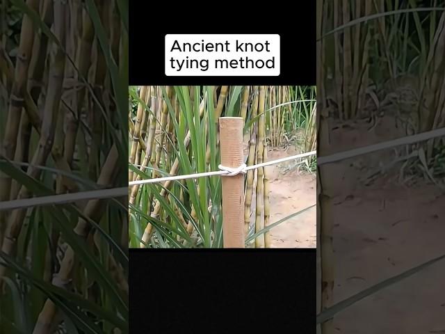 ancient Knot tying method #facts #reallifehacks #shortsfeed