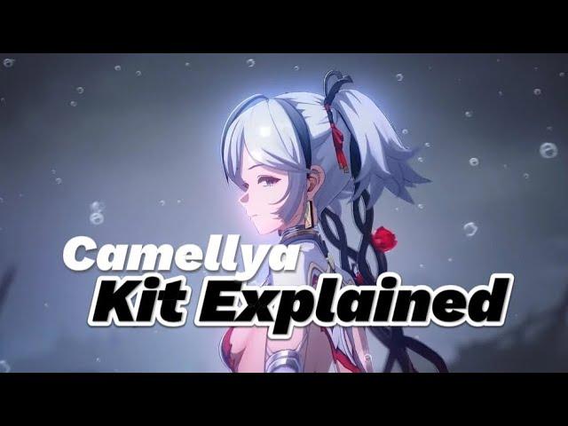 Wuthering Waves | Camellya Kit Breakdown, Builds, Weapons and Teams