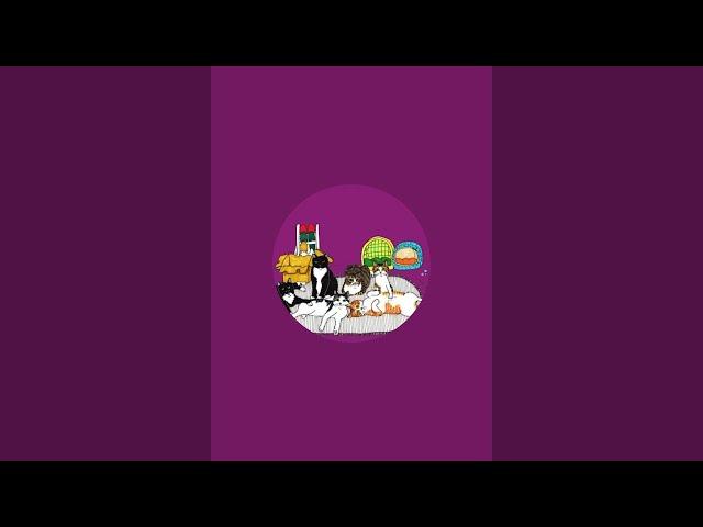 냥냥타운 meow meow town 라이브 스트리밍 중