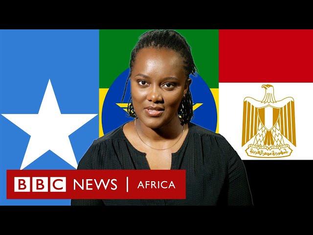 Why did Egypt-Somali alliance spark an alarm in Ethiopia? BBC Africa