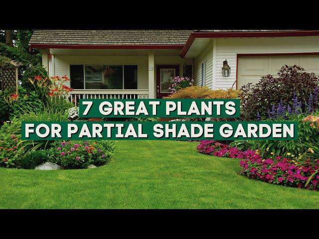 7 Great Plants That Can Thrive in Partial Shade During The Summer️ // Shade Loving Summer Plants