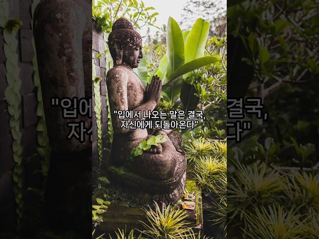 “무례한 사람에게 부처님은 이렇게 말씀하셨습니다” #좋은글 #명언 #자기수행 #인생조언 #긍정적마인드 #오디오북