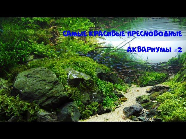 Самые красивые аквариумы Акваскейп подборка #2