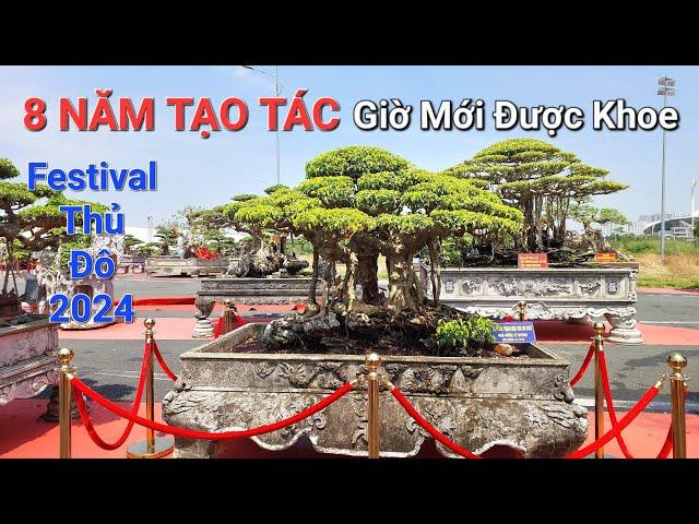 FESTIVAL THỦ ĐÔ ! Tình cờ gặp NV anh LÝ HUYNH mang cây ĐẸP NHẤT vườn đi chơi .