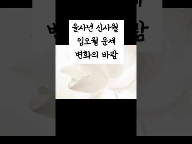 을사년 신사월 임오월 운세. 내 사주에 적용하기.