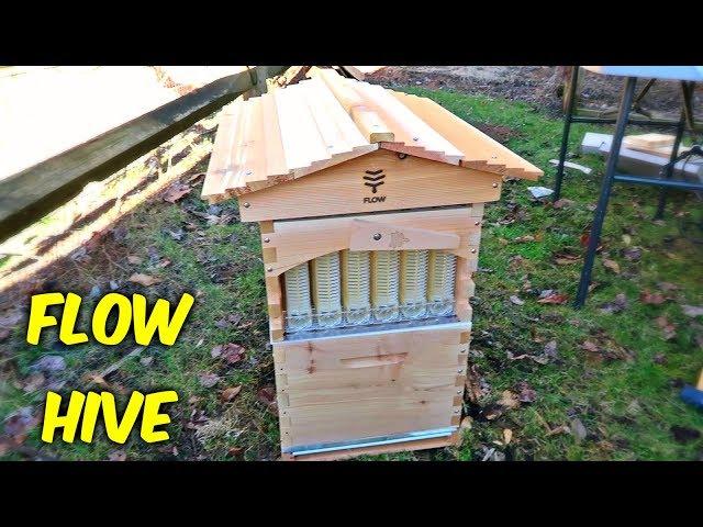 Flow Hive Review