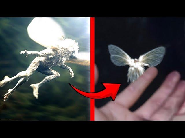 Mythical Creatures That Turn Out To Exist In Real Life!