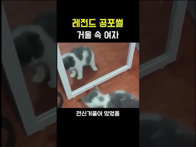 레전드 공포썰 [거울 속 여자]