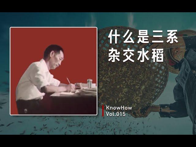 Vol.015 三系杂交水稻是如何产生的？