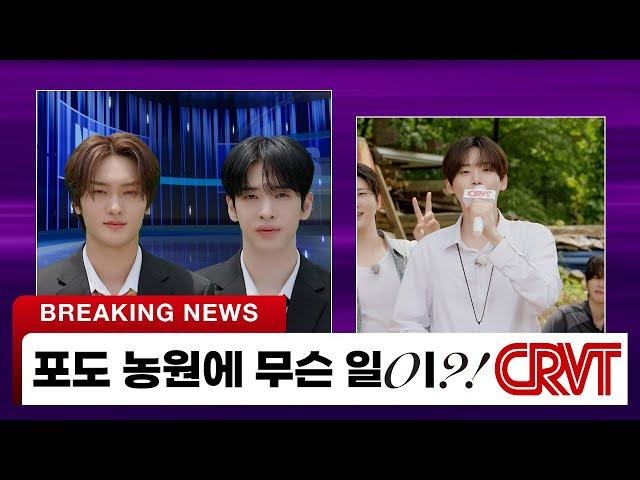 Breaking Unknown Object in Vineyard? JUNGMO Reports, "Each Worth 10 Billion!" | CRVT News