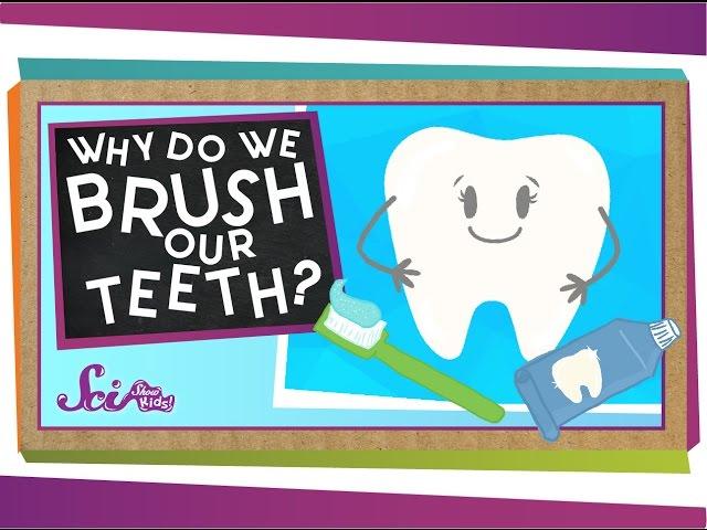 Why do We Brush Our Teeth? | Health for Kids | SciShow Kids