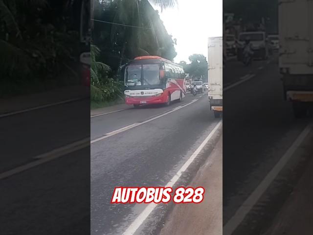 Metro Cebu Autobus Corp. 828 ️07/21/24 @Corazon.Catmon, Cebu #busspotting #shorts