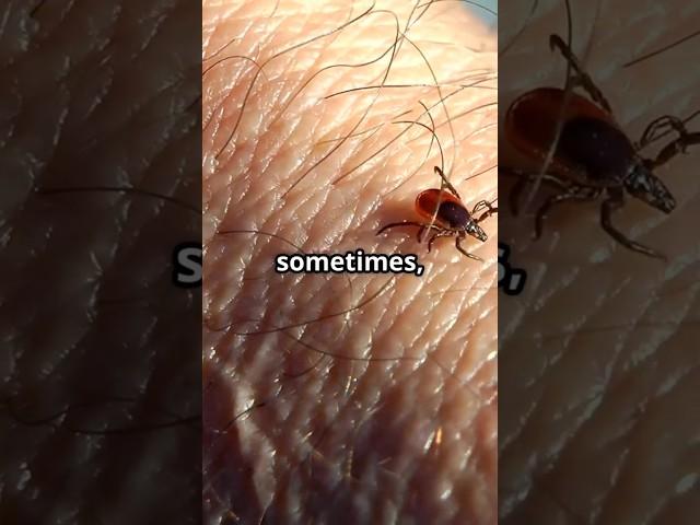 Why You’re Suddenly Itching (Unexplained Itching Causes)