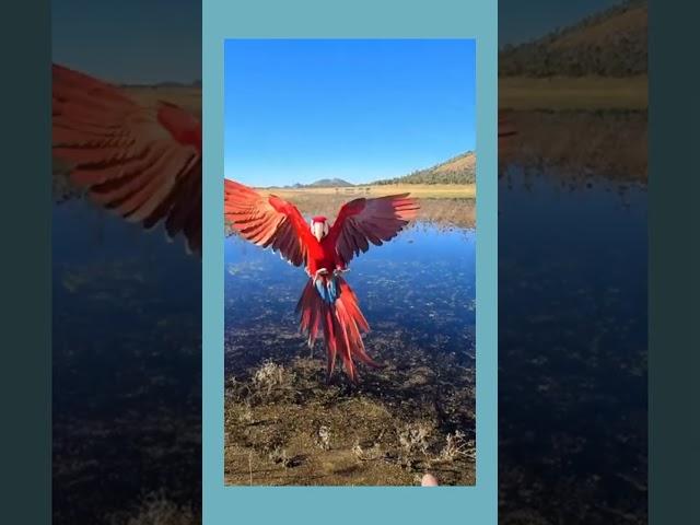 https://youtu.be/BLnYGKQoYhs
