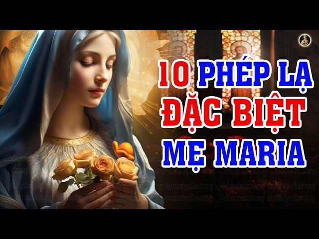 10 PHÉP LẠ ĐẶC BIỆT MẸ MARIA | NGƯỜI CÔNG GIÁO NHẤT ĐỊNH PHẢI NGHE 1 LẦN TRONG ĐỜI.