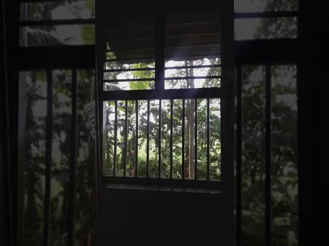Beautiful outdoor | IAS horn