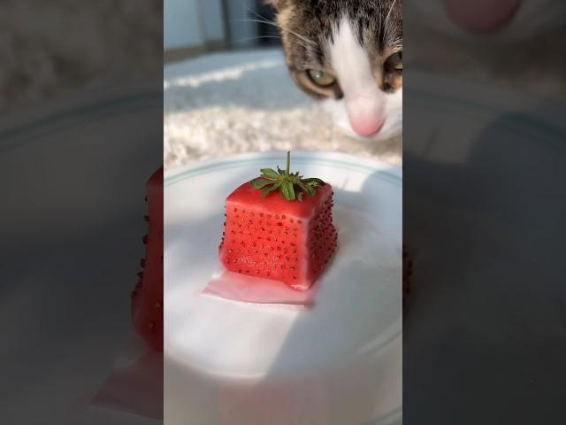 72-hour strawberry jelly 