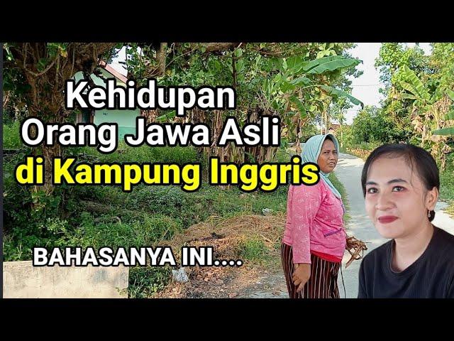 Kehidupan Orang Jawa Asli Di Kampung Inggris Karangmangu Bojonegoro Berbahasa Jawa Sedikit Inggris