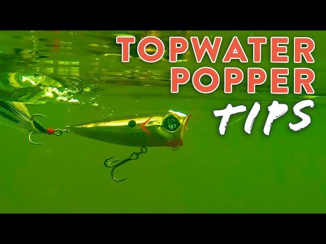 Topwater Popper Tips & Tricks: Catch MORE Fish On The Surface!