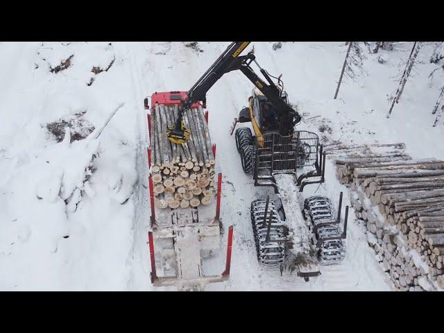 Лесовоз! Осина! Квадрокоптер! В рейс на Визиндор!