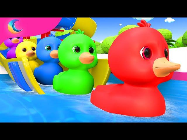 Five Little Ducks | Kids Songs | BluLoo Nursery Rhymes & Kids Songs