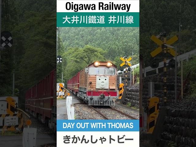 【きかんしゃトビー】大井川鐵道井川線【電車が大好きな子供向け】Japanese Trains for Kids - Toby the Tram Engine, DAY OUT WITH THOMAS