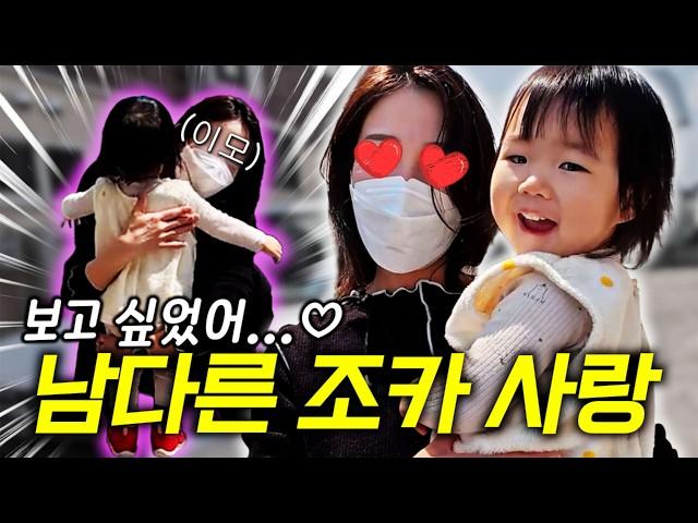 한국에서 온 첫 조카 때문에 급하게 날아온 이모🩷 감동의 재회 후 동네 돈까스 맛집