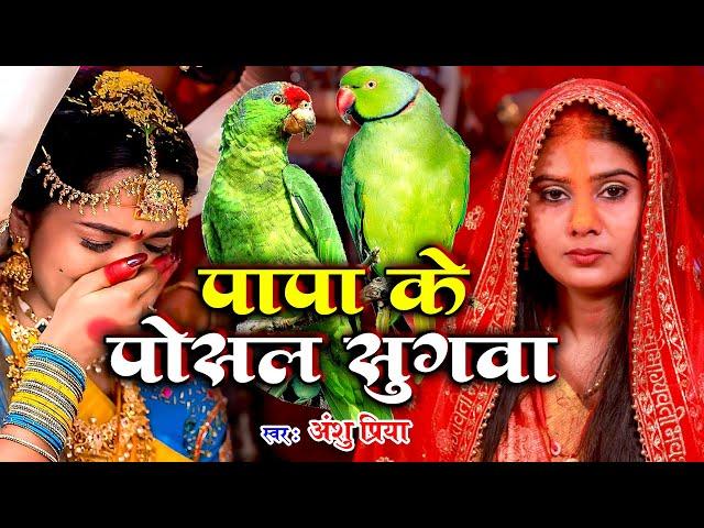 बेटी विवाह गीत || पापा के पोसल सुगवा || Anshu Priya Shadi Vivah Geet || Anshu Priya Beti Vivah Geet