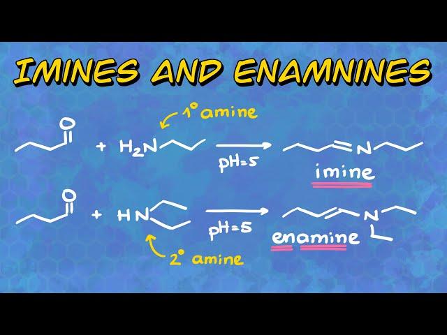 Imines and Enamines: Formation and Mechanism