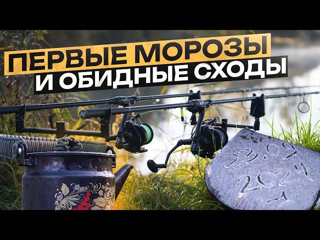 АВАНТЮРНАЯ РЫБАЛКА ОСЕНЬЮ В ЗАМОРОЗКИ. Один с ночевкой в шикарной заводи Генезиса