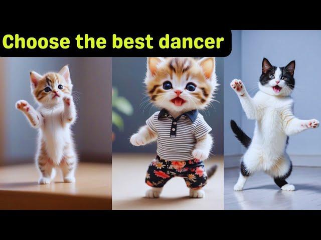 Cutest Cat funny dance video ️Dancing Cats #viralvideo  #catdanceshow #catlovers @furry-cornerz