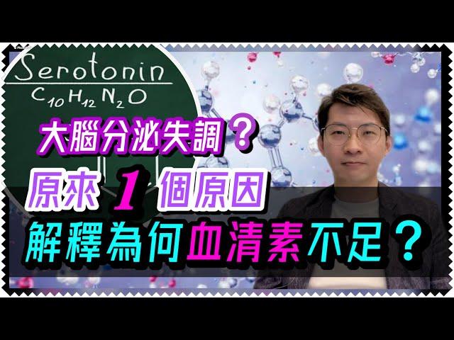 拆解：血清素為何會不足？（中文字幕）大腦為何會分泌失調？抑鬱焦慮症是大腦「正常」運作下的「異常」結果？