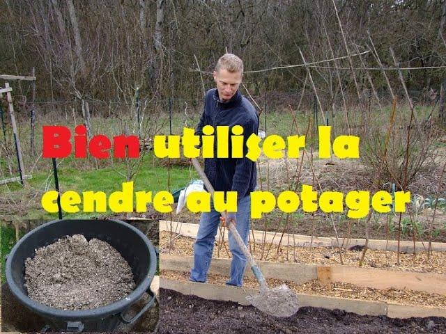 bien utiliser les cendres au potager