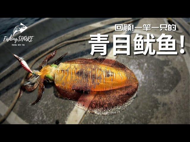 【FishingShare】回顾一竿一只的青目鱿鱼季节钓游！海钓系列| Recap! a Season of Catching GREEN-EYE SQUID with Every Cast!