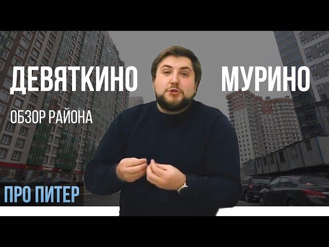 ДЕВЯТКИНО | ЗАПАДНОЕ МУРИНО | ОБЗОР РАЙОНА