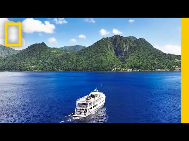 Dominica: The Nature Island (2023) | Pristine Seas | National Geographic Society