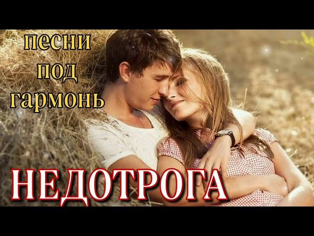 Душевная песня под гармонь НЕДОТРОГА (исп.Алексей Кракин)
