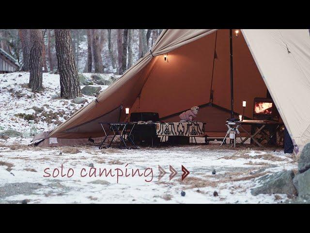 [솔로캠핑] 조용한 숲속에서 즐기는 캠핑 ㅣ애견동반캠핑ㅣ캠핑브이로그 ㅣ solocamping ㅣ 서커스TC 빅 ㅣ 화목난로 ㅣ 마이스토브레귤러플러스