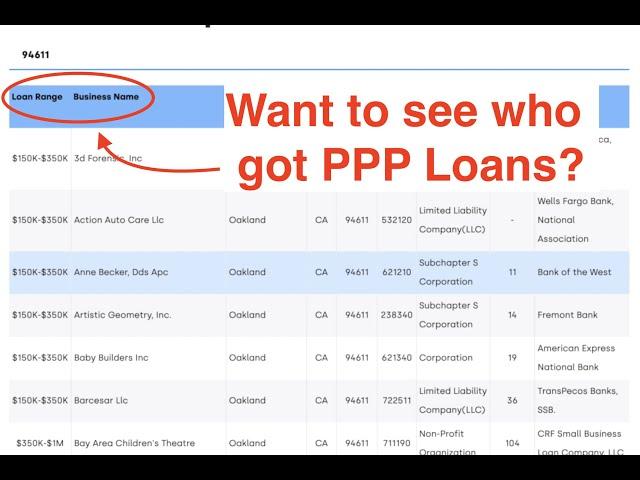 Search All PPP Loan Data // PPP Loan Recipient Names, Locations, Amounts