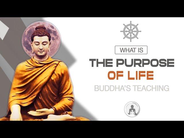 Buddhism: What is The Purpose of Life?