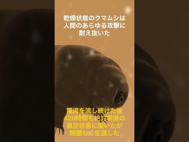 【ゆっくり解説】人間が手を尽くしても敵わない最強生物クマムシについてこっそり教えます