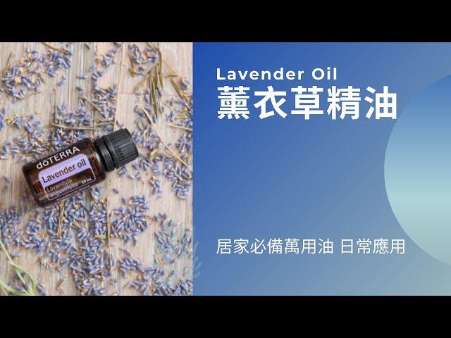 薰衣草精油日常用法 Lavender oil for beginners